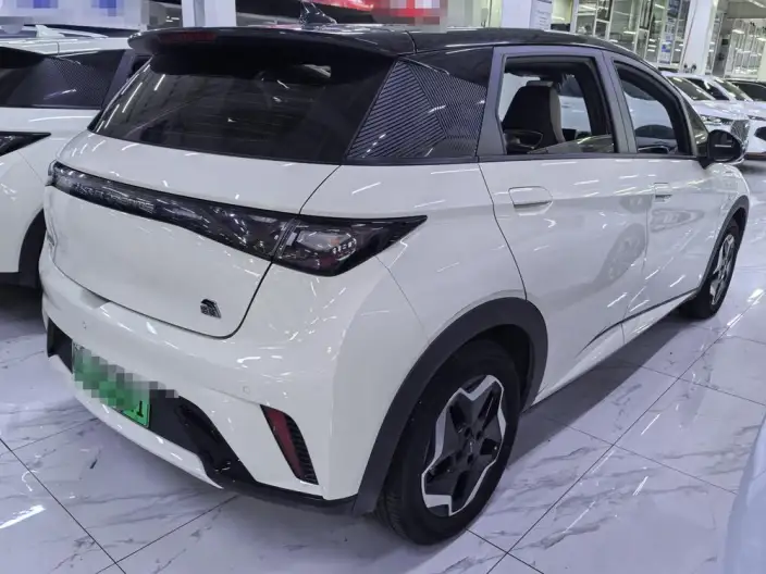 BYD Dolphin 2021 Model Fashion Edition – фото 5
