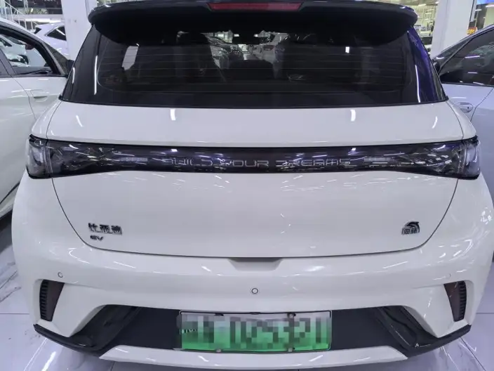 BYD Dolphin 2021 Model Fashion Edition – фото 6
