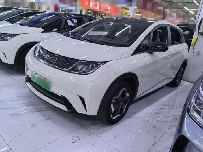 BYD Dolphin 2021 Model Fashion Edition