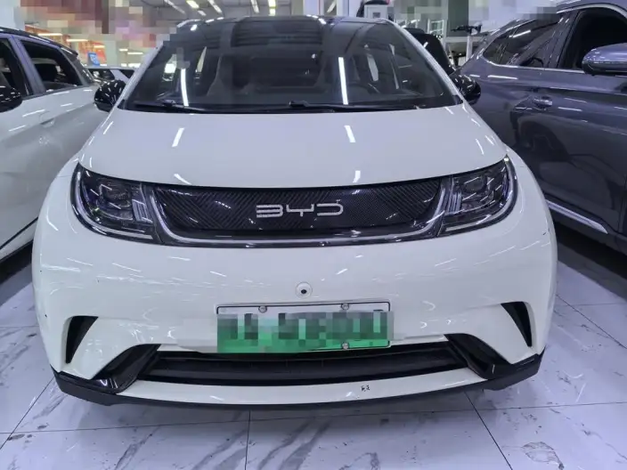 BYD Dolphin 2021 Model Fashion Edition