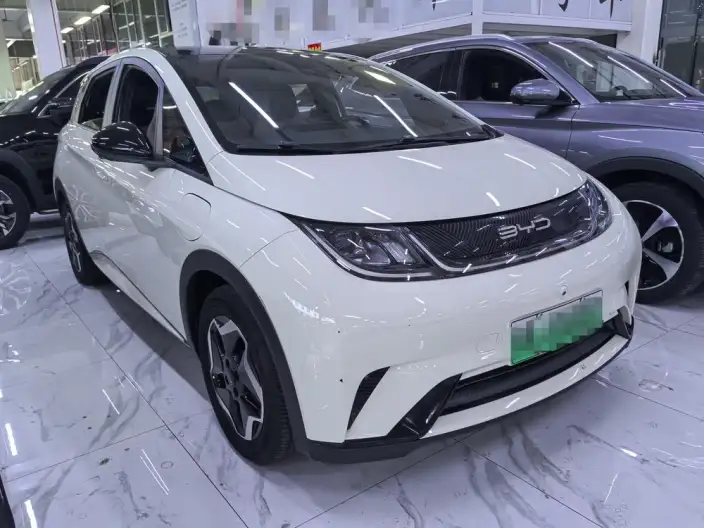 BYD Dolphin 2021 Model Fashion Edition