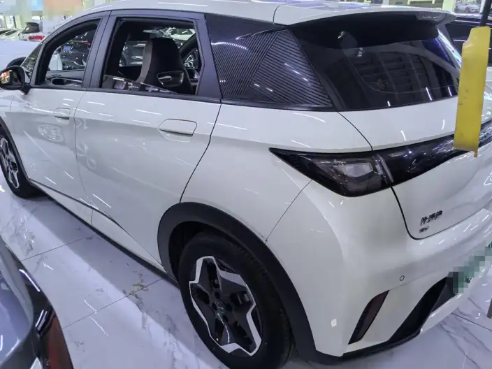 BYD Dolphin 2021 Model Fashion Edition