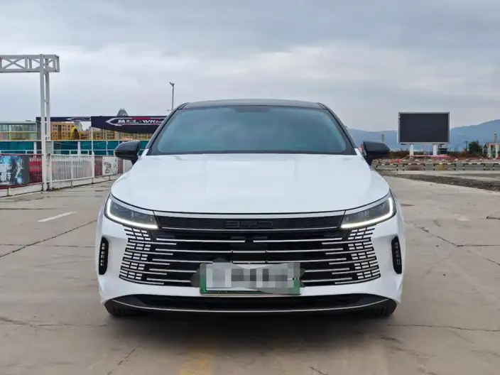 BYD Destroyer 05 2024 Model Honor Edition DM-i 55KM Luxury Model