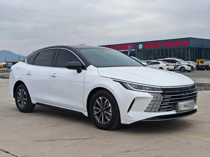 BYD Destroyer 05 2024 Model Honor Edition DM-i 55KM Luxury Model