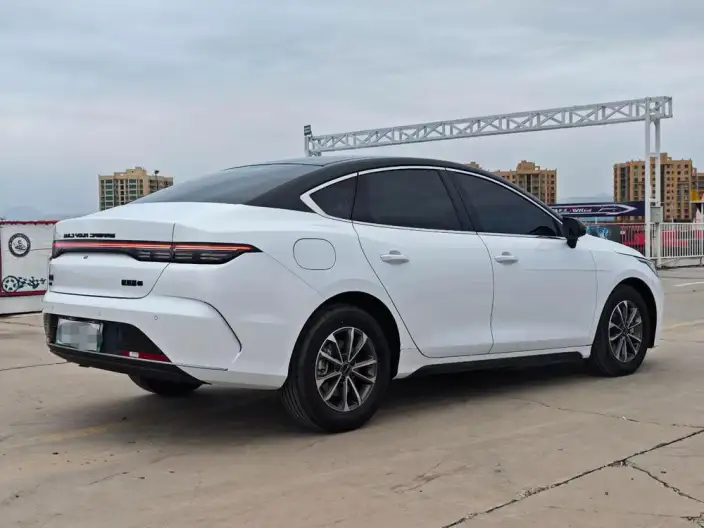 BYD Destroyer 05 2024 Model Honor Edition DM-i 55KM Luxury Model – фото 6