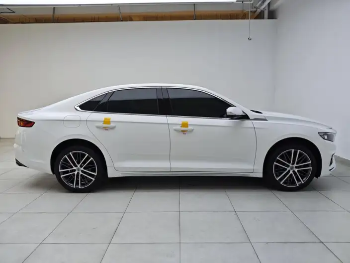 Geely StarRui 2021 Model 2.0T Noble Model – фото 8