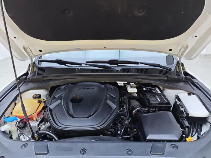 Geely StarRui 2021 Model 2.0T Noble Model – фото 10