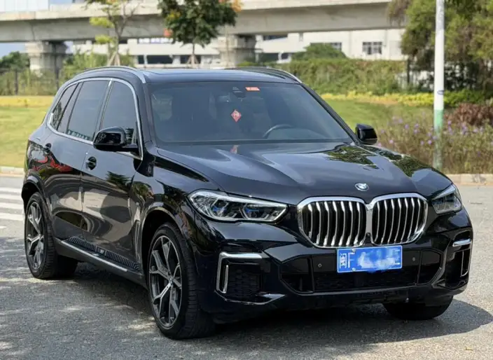 BMW X5 2022 Model Facelift xDrive 40Li M Sports Set