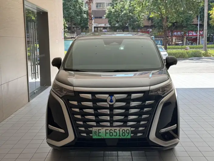 DENZA D9 DM 2022 Model 970 4WD Flagship Model