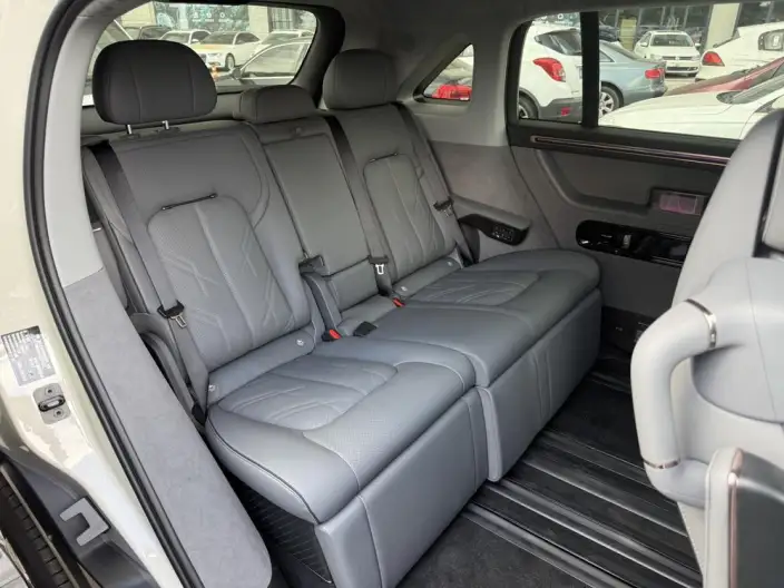 ZEEKR MIX 2025 Model 76kWh Smart Driving Edition – фото 9