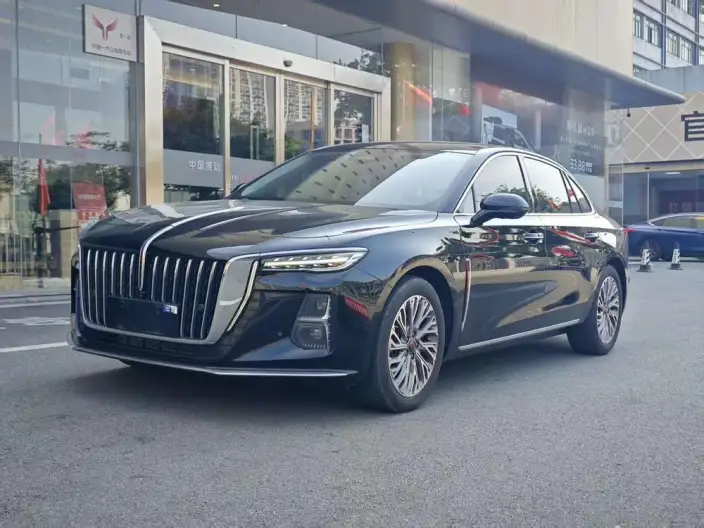Hongqi H5 2023 Model 2.0T Automatic Flag Enjoy Edition – фото 10