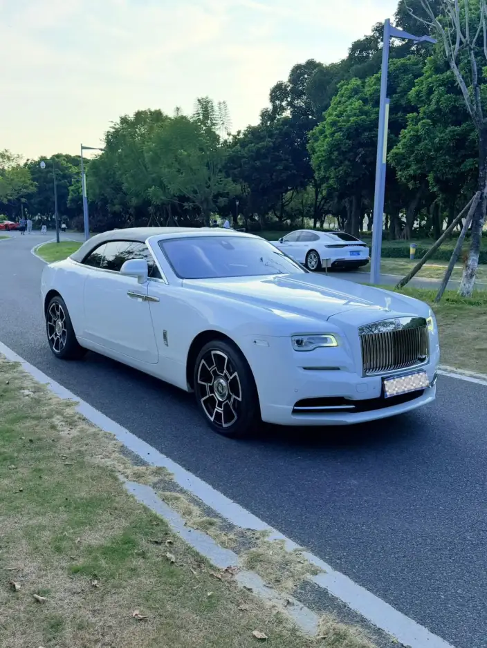 Black Badge 2018 Model 6.6T Standard Model – фото 3