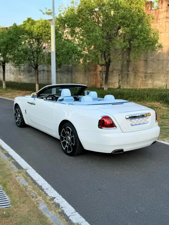 Black Badge 2018 Model 6.6T Standard Model – фото 4