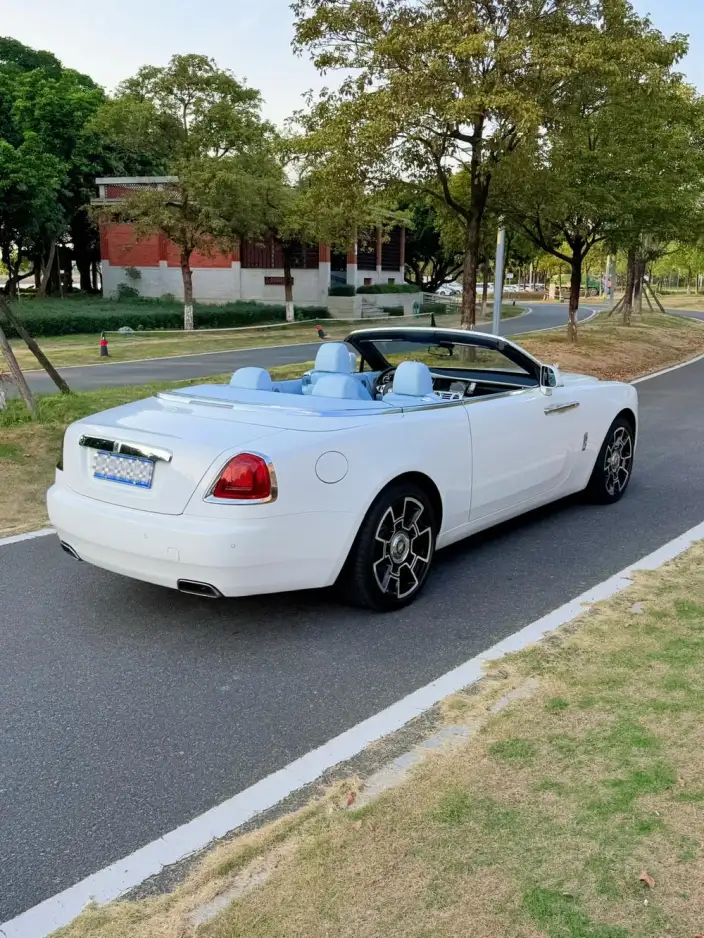 Black Badge 2018 Model 6.6T Standard Model – фото 6