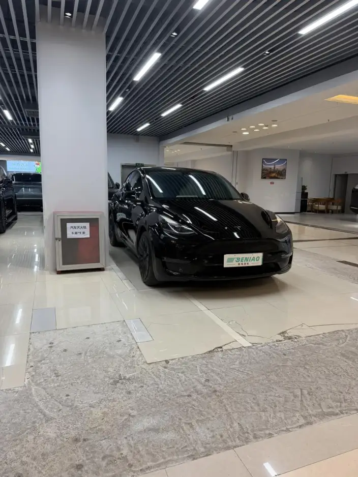 Model Y 2021 Model Standard Battery Life Rear-wheel drive version – фото 3
