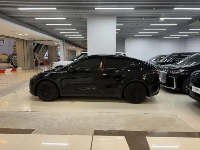 Model Y 2021 Model Standard Battery Life Rear-wheel drive version – фото 4