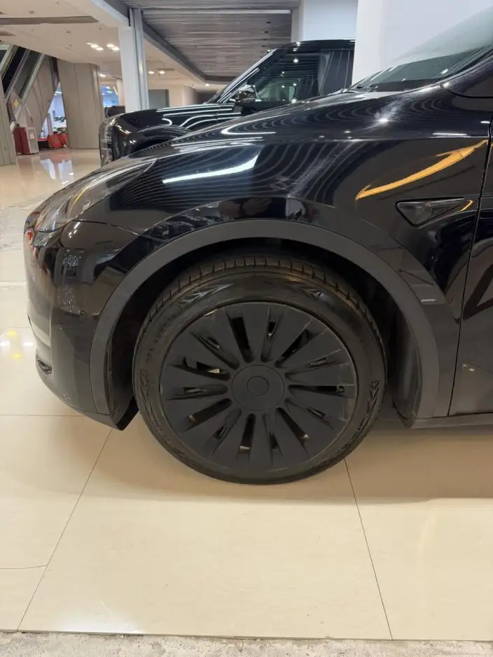 Model Y 2021 Model Standard Battery Life Rear-wheel drive version – фото 5