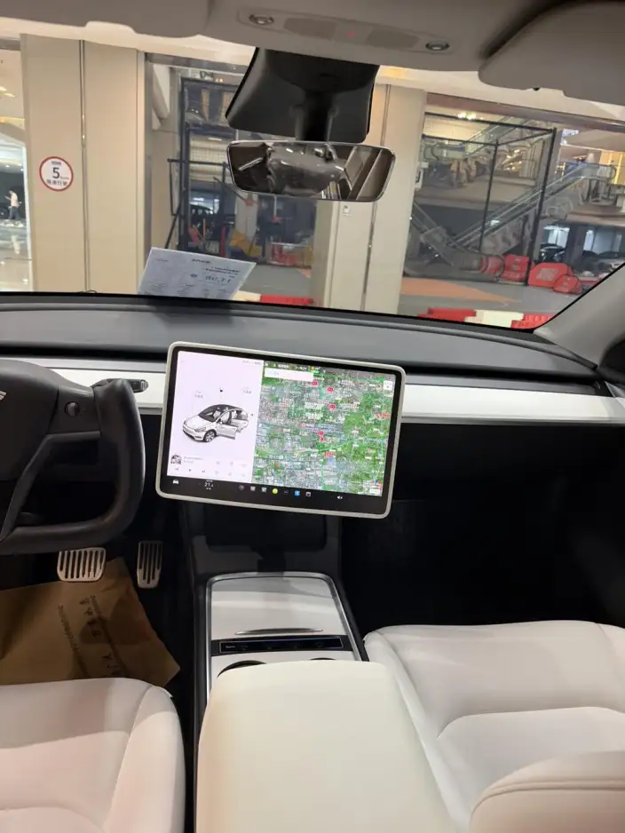 Model Y 2021 Model Standard Battery Life Rear-wheel drive version – фото 6