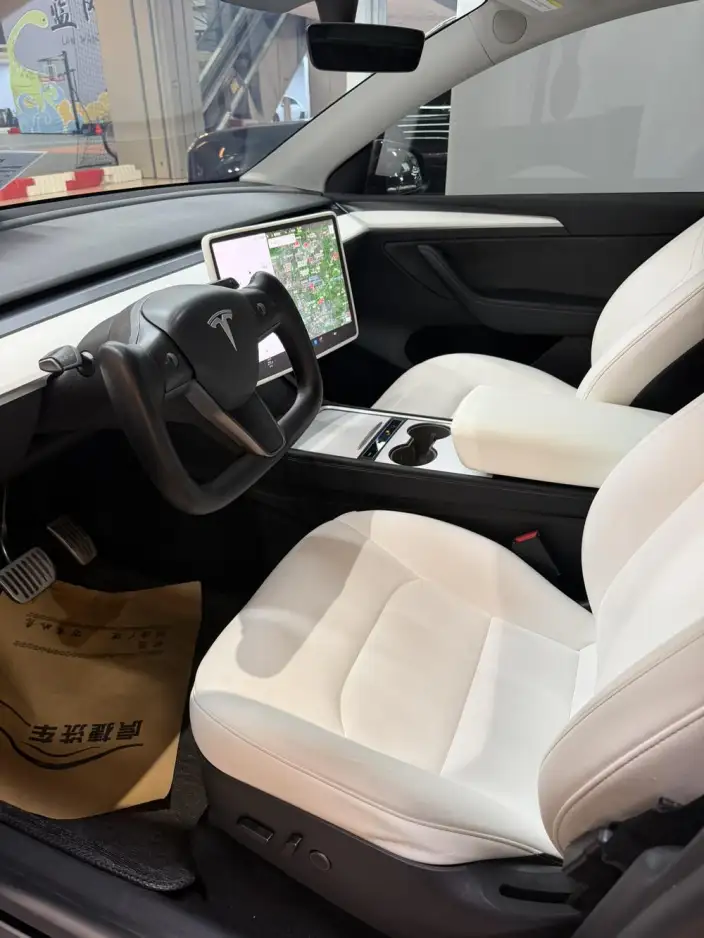 Model Y 2021 Model Standard Battery Life Rear-wheel drive version – фото 7