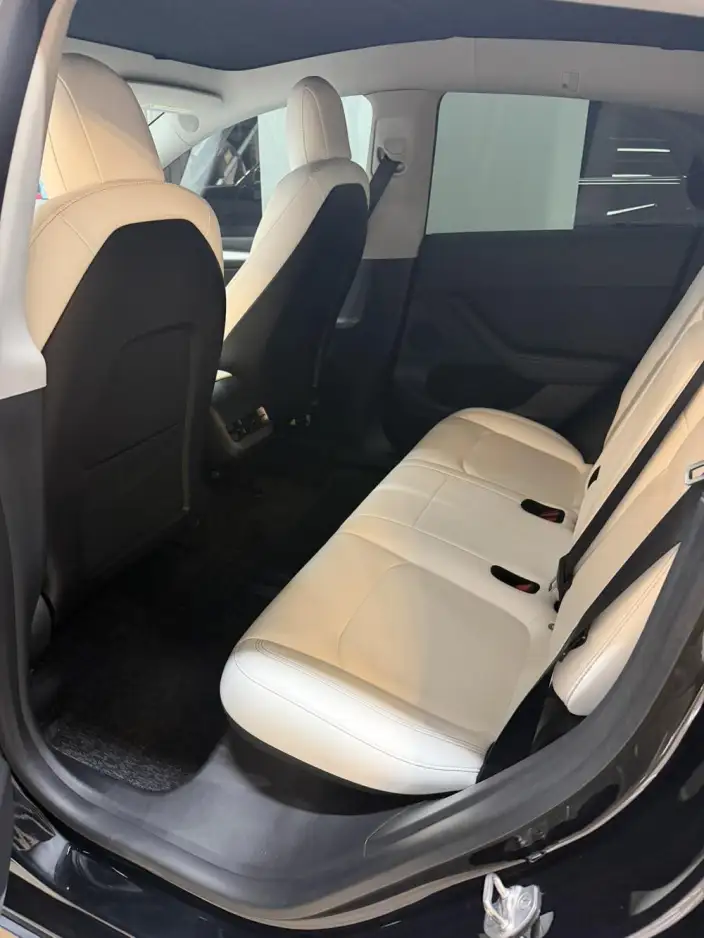 Model Y 2021 Model Standard Battery Life Rear-wheel drive version – фото 8