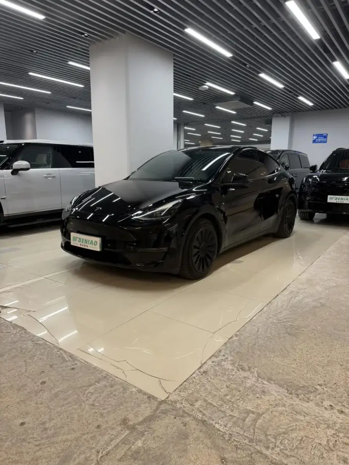 Model Y 2021 Model Standard Battery Life Rear-wheel drive version – фото 10