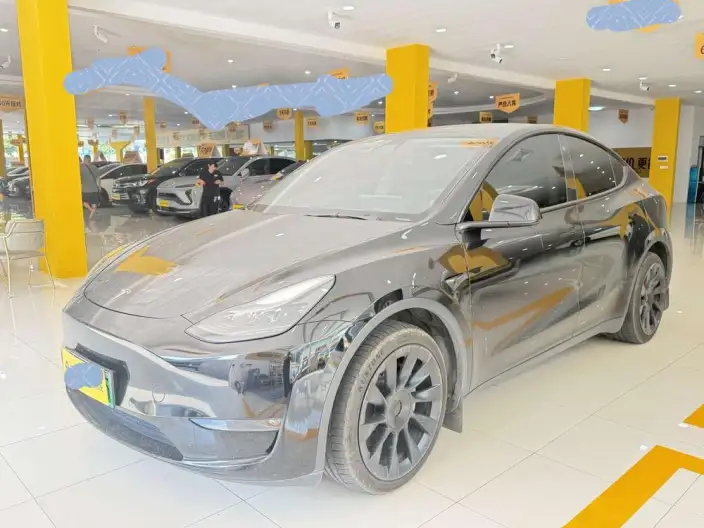 Model Y 2022 Model Long Battery Life Pro All-wheel drive version – фото 1