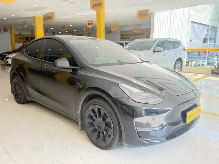 Model Y 2022 Model Long Battery Life Pro All-wheel drive version – фото 3