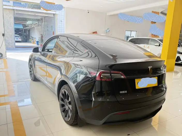 Model Y 2022 Model Long Battery Life Pro All-wheel drive version – фото 4