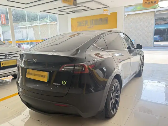 Model Y 2022 Model Long Battery Life Pro All-wheel drive version – фото 6