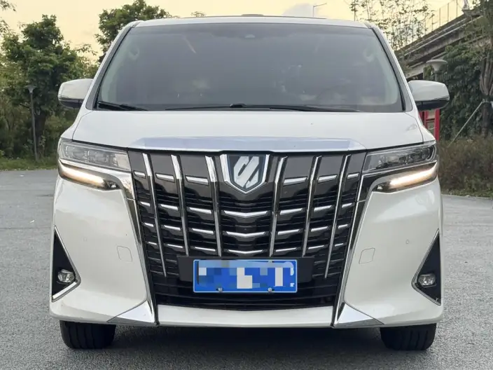 Elfa 2021 Model Hybrid 2.5L Deluxe Edition – фото 2