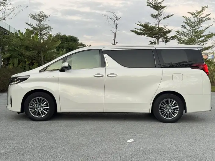 Elfa 2021 Model Hybrid 2.5L Deluxe Edition – фото 4