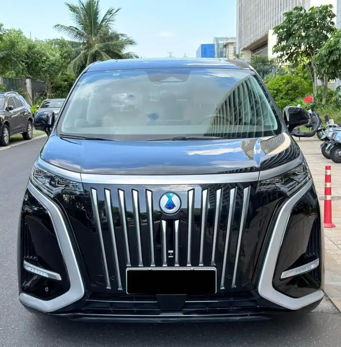 Denza D9 EV 2022 Model 620 Noble Model – фото 2