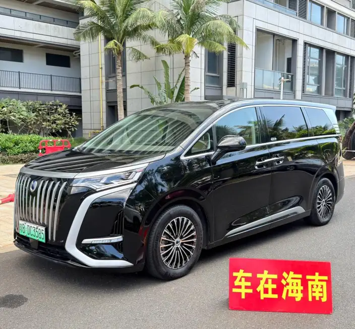 Denza D9 EV 2022 Model 620 Noble Model – фото 10