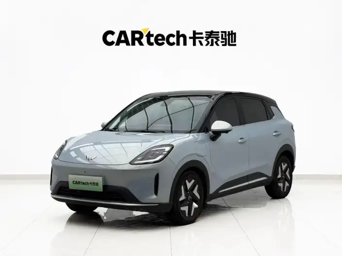 Wuling BingoS 2025 Model 430km Flagship Model