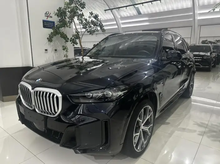 BMW X5 2023 Model xDrive30Li Exclusive Model M Sports Night Set – фото 1