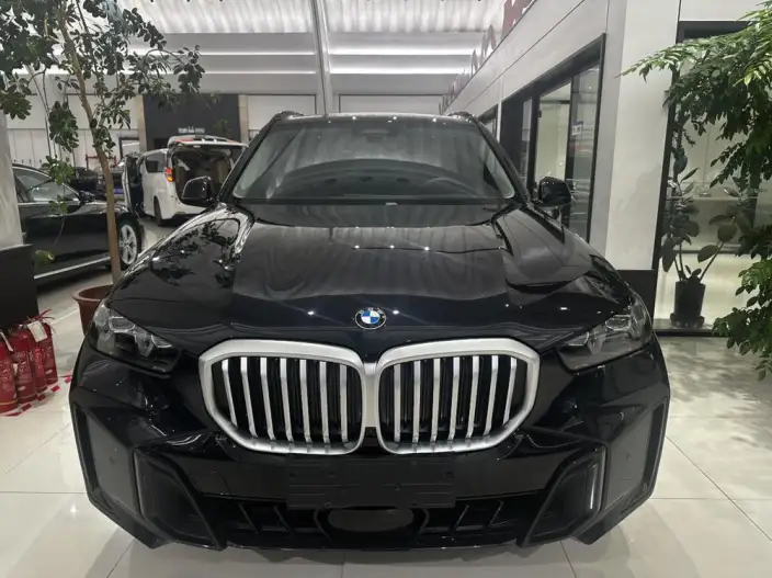 BMW X5 2023 Model xDrive30Li Exclusive Model M Sports Night Set – фото 2