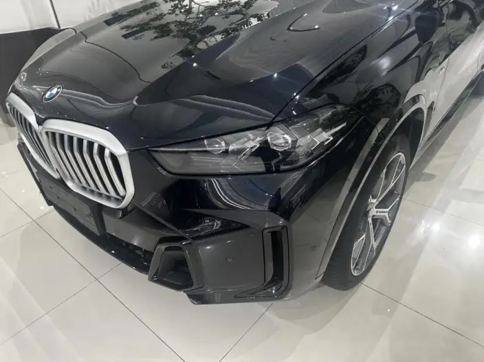 BMW X5 2023 Model xDrive30Li Exclusive Model M Sports Night Set – фото 7