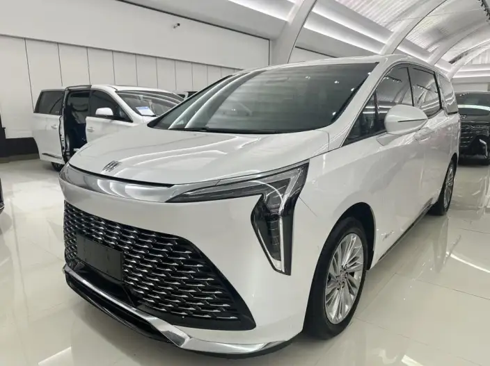 Century 2023 Model 2.0T VII seat Yunshi Edition – фото 1