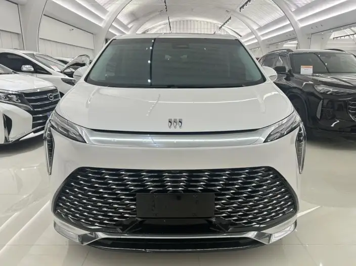 Century 2023 Model 2.0T VII seat Yunshi Edition – фото 2