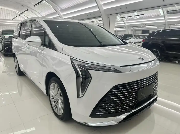 Century 2023 Model 2.0T VII seat Yunshi Edition – фото 3
