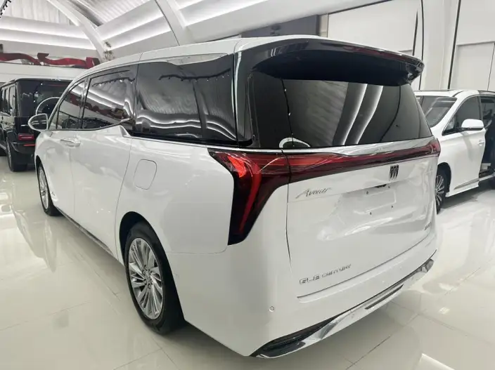 Century 2023 Model 2.0T VII seat Yunshi Edition – фото 4