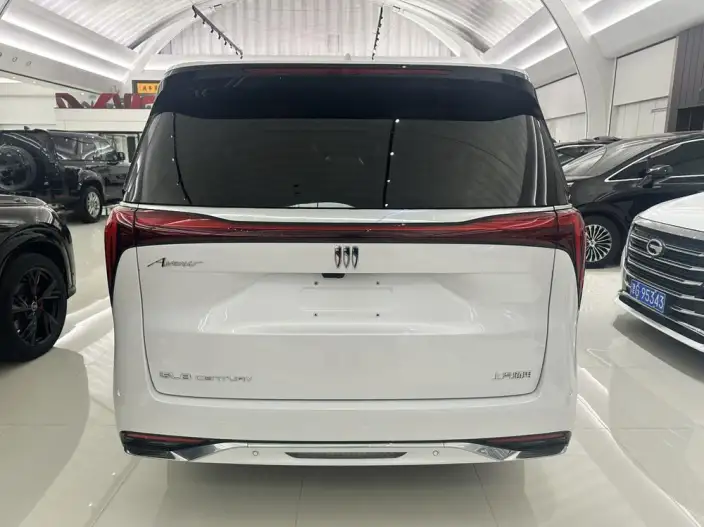 Century 2023 Model 2.0T VII seat Yunshi Edition – фото 5
