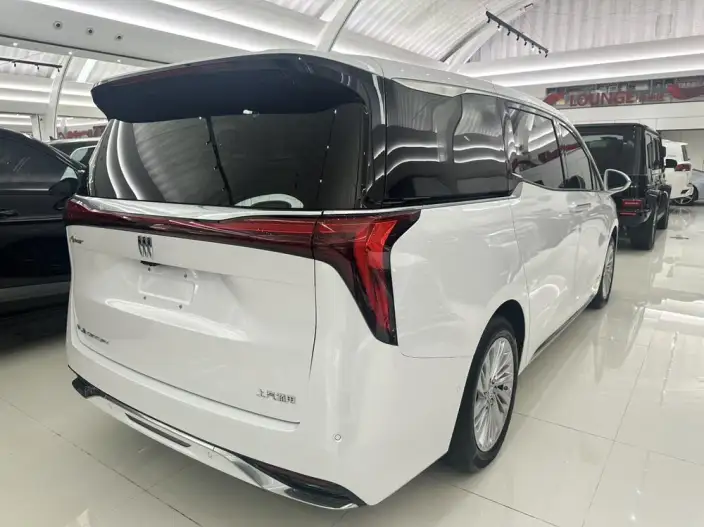 Century 2023 Model 2.0T VII seat Yunshi Edition – фото 6