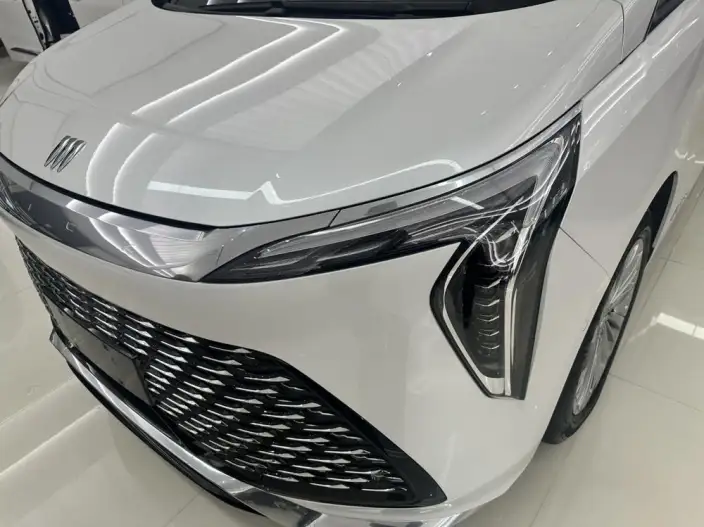 Century 2023 Model 2.0T VII seat Yunshi Edition – фото 7
