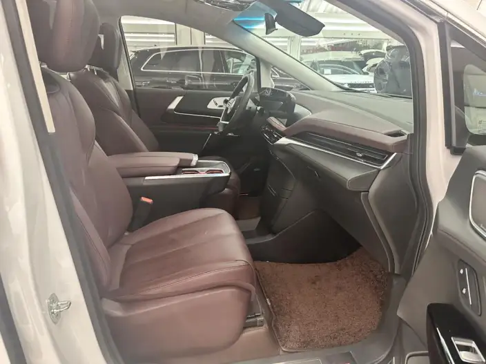 Century 2023 Model 2.0T VII seat Yunshi Edition – фото 8