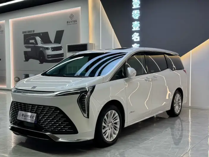 Century 2025 Model 2.0T VII seat Yunshi Edition – фото 1