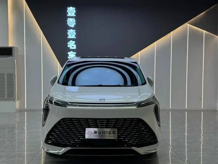 Century 2025 Model 2.0T VII seat Yunshi Edition – фото 2