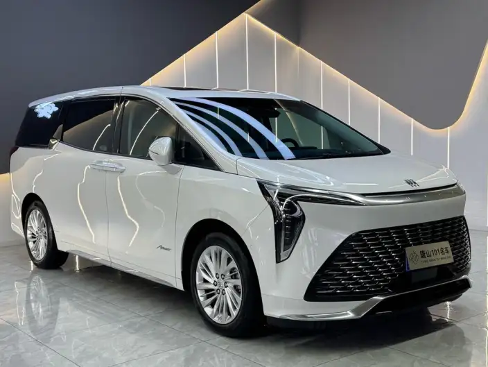 Century 2025 Model 2.0T VII seat Yunshi Edition – фото 3