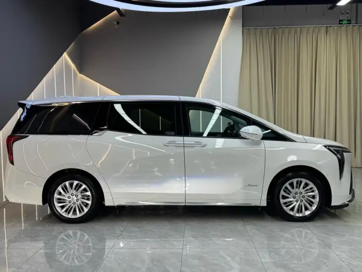 Century 2025 Model 2.0T VII seat Yunshi Edition – фото 7