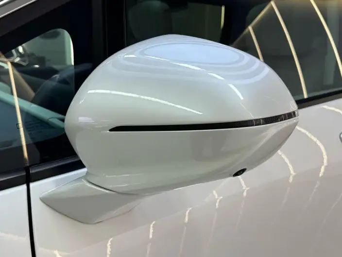 Century 2025 Model 2.0T VII seat Yunshi Edition – фото 10
